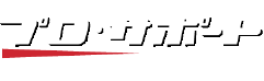 PRO SUPPORT LIMITED.